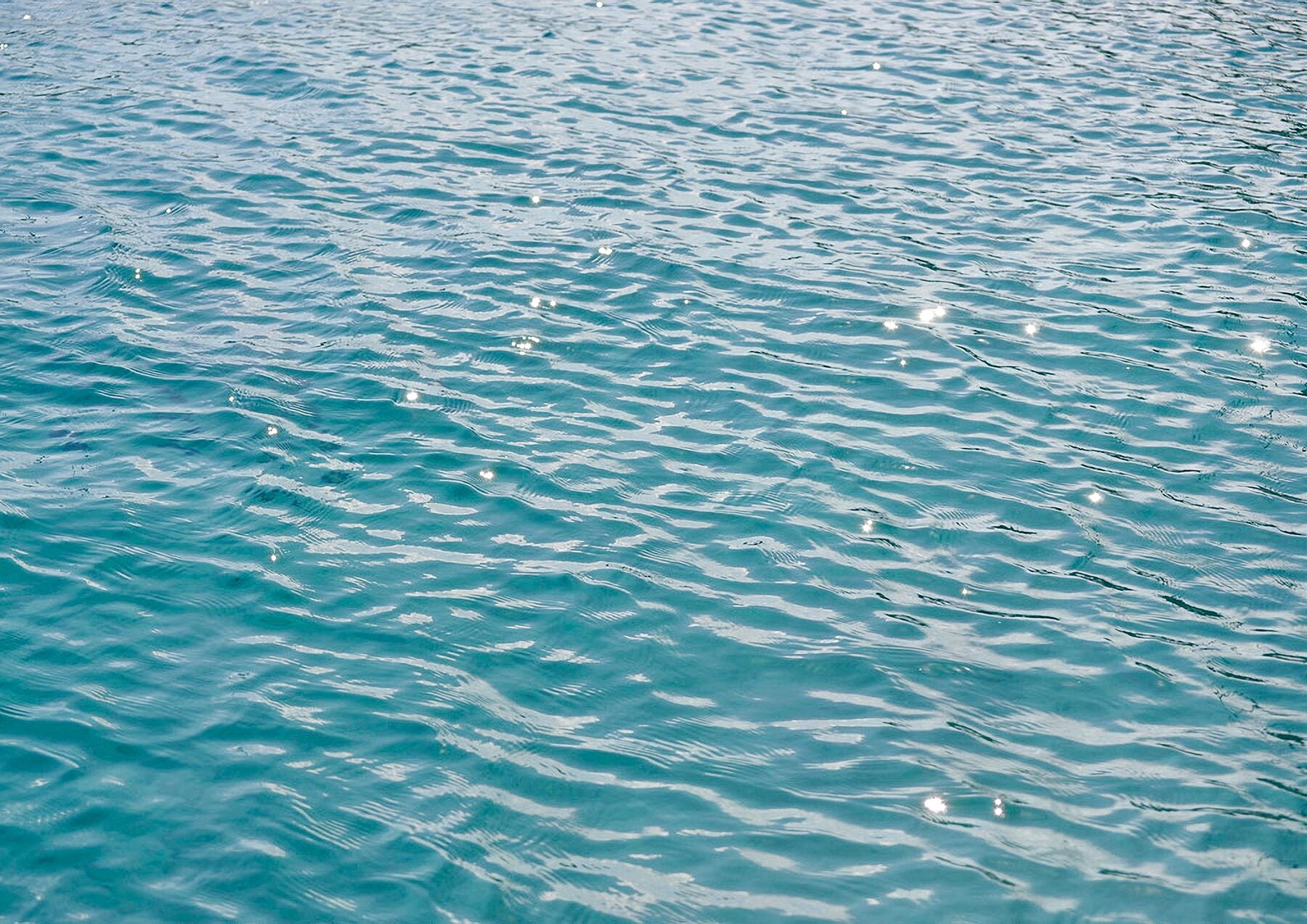 8242056